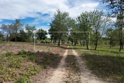 GRAĐEVINSKO ZEMLJIŠTE U OKOLICI POREČA, ISTRA – S POLJOPRIVREDNIM DIJELOM ZA VRT U MIRNOM NASELJU!