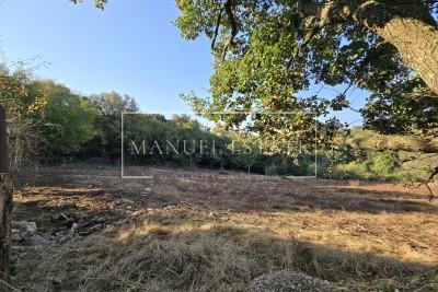 BUILDING LAND IN A VERY QUIET LOCATION, NEAR VIŠNJAN