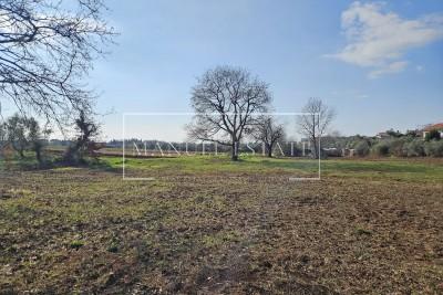 UNIQUE OPPORTUNITY! RARITY ON THE MARKET – BUILDING PLOT 649 M², 2 KM FROM THE CENTER OF NOVIGRAD, ISTRIA!